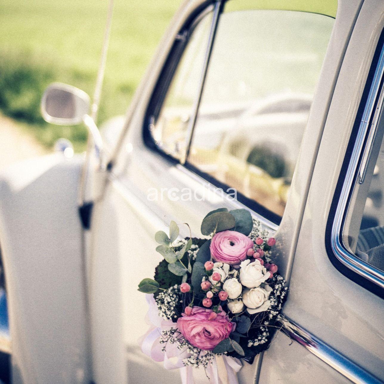 Lechuga y Ruiz - 02.jpg