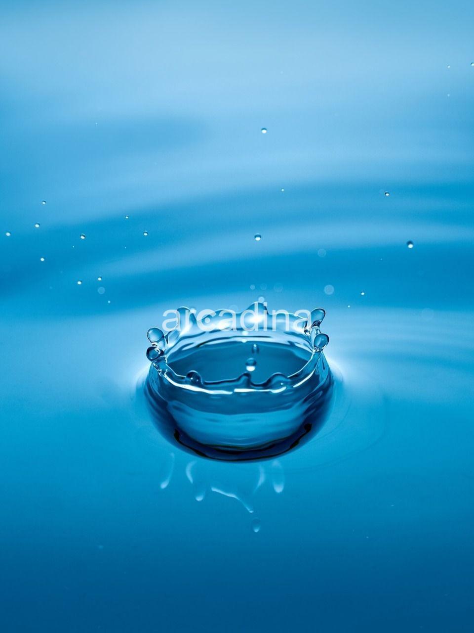 Lechuga y Ruiz - blue-bright-clean-247759.jpg